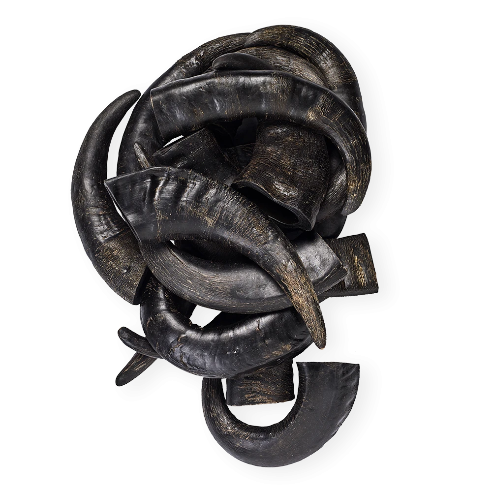 Buffalo Horns 5 kg