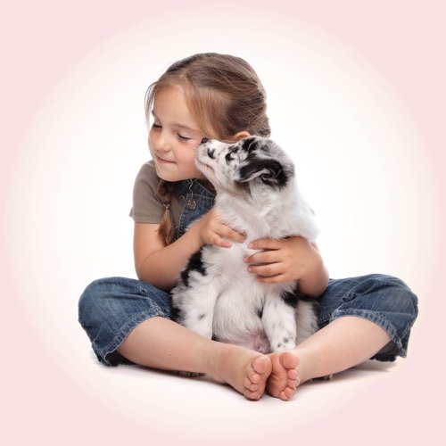 Lijst van snacks voor je pup – verwelkom je nieuwe huisdier