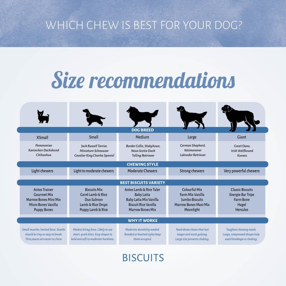 Baby Latta Mix Vanille 10 kg