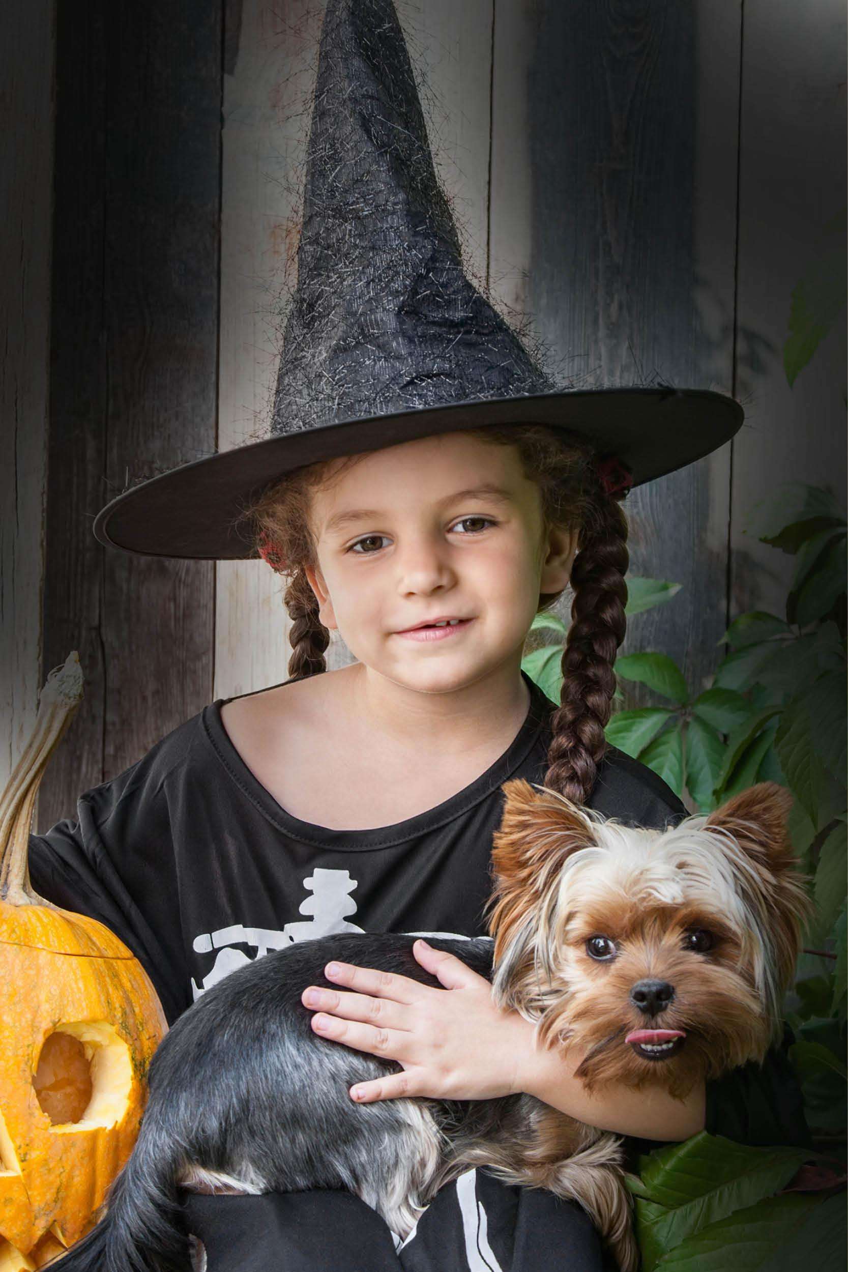 Verwen je hondje tijdens Halloween!